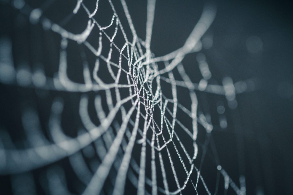 This Halloween decorates with elements such as spider webs