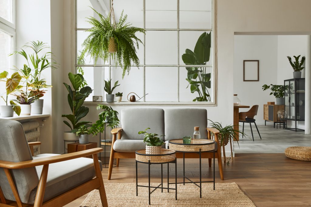 Tendance déco 2024